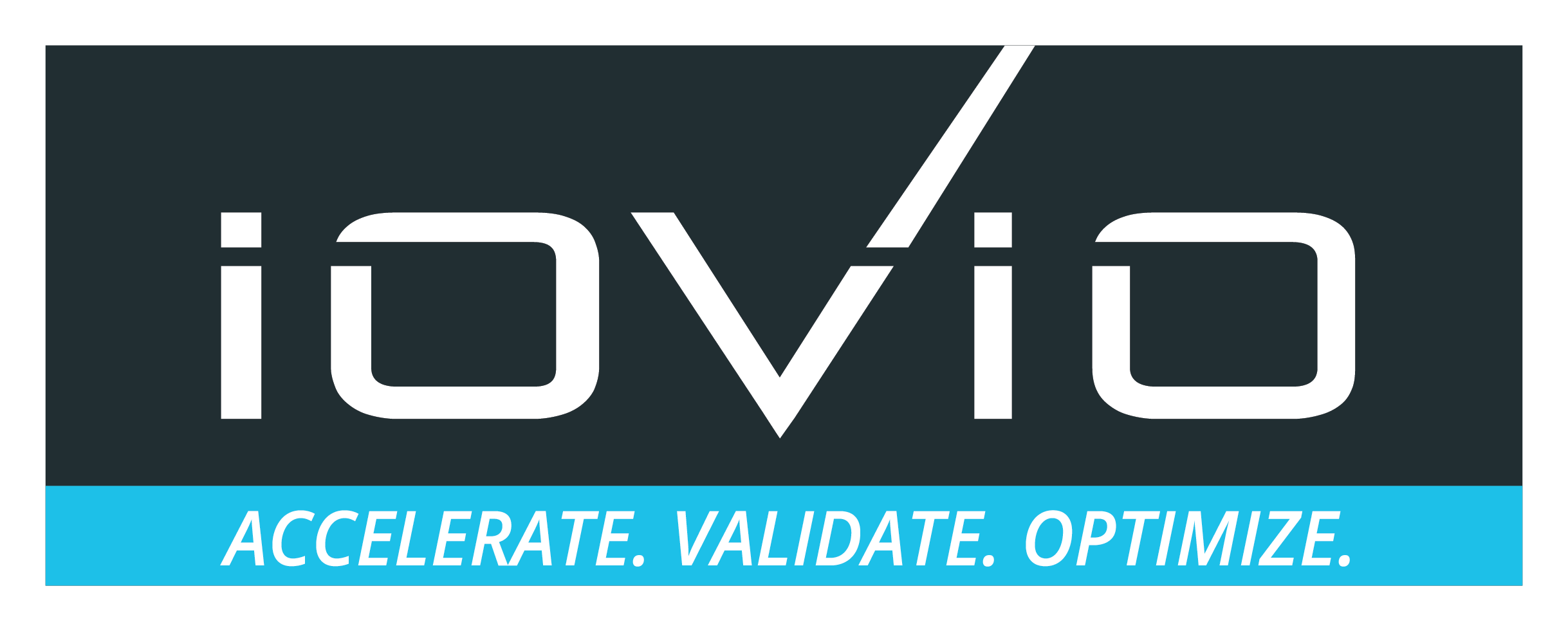 IOVIO IT consulting